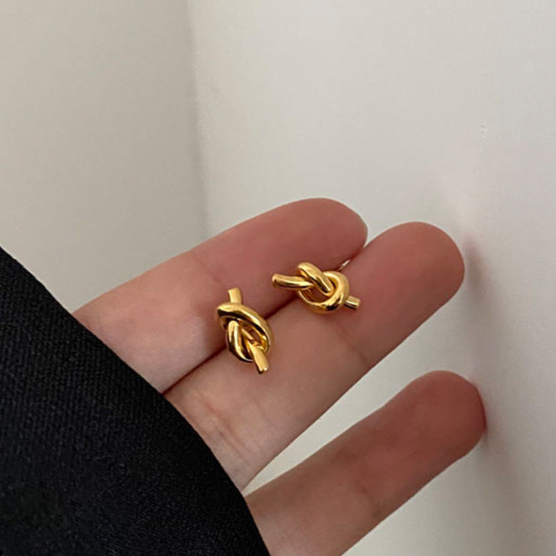 New Titanium Steel Earrings Light Luxury And Premium