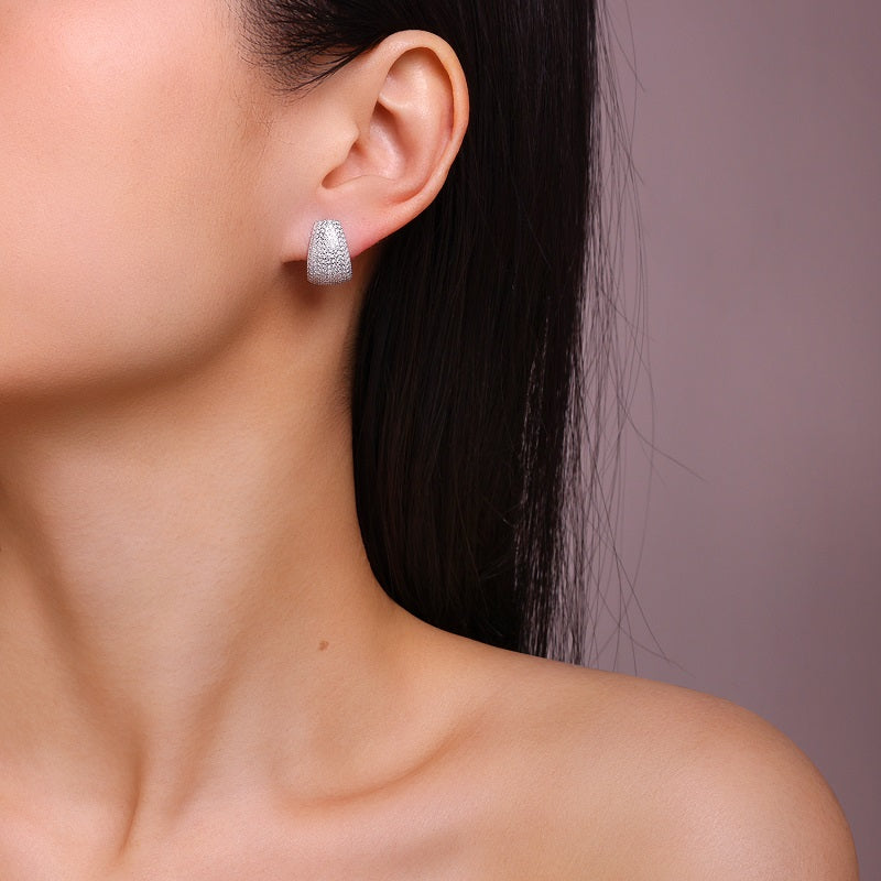 Top-quality Moissanite Luxury And Fashionable Light Luxury Jewelry Silver Stud Earrings S925 Silver Plated Platinum